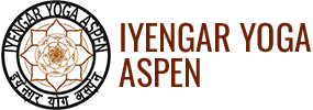 Iyemgar Yoga Aspen