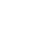 Certified Iyengar Yoga Teacher badge